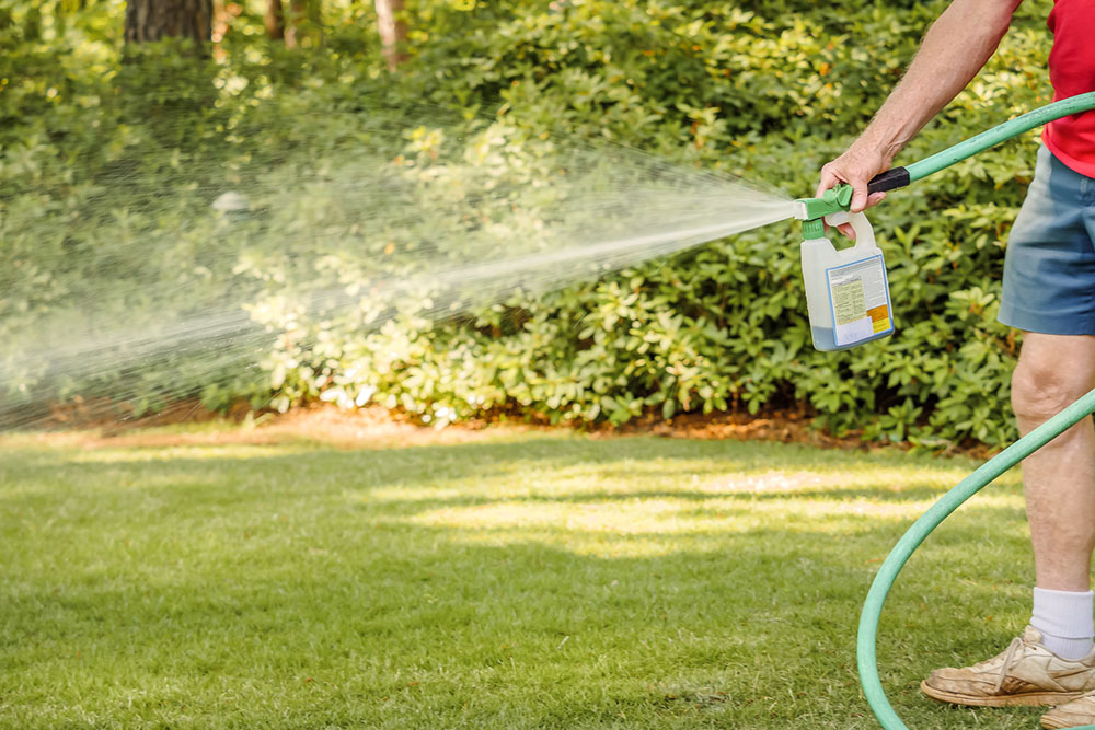 Types of Grass Fertilizers and Tips to Choose the Right One