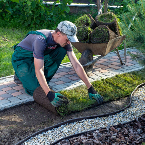 Landscaping Services &#8211; Types, Benefits, and Tips to Consider