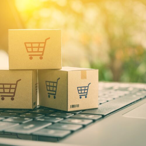 Enhancing Ecommerce Efficiency with Shipping Software