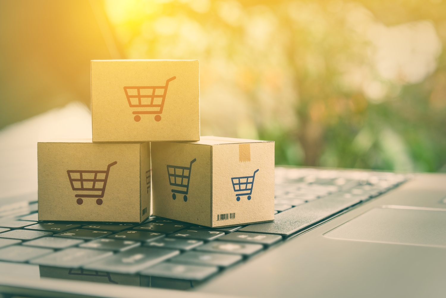 Enhancing Ecommerce Efficiency with Shipping Software