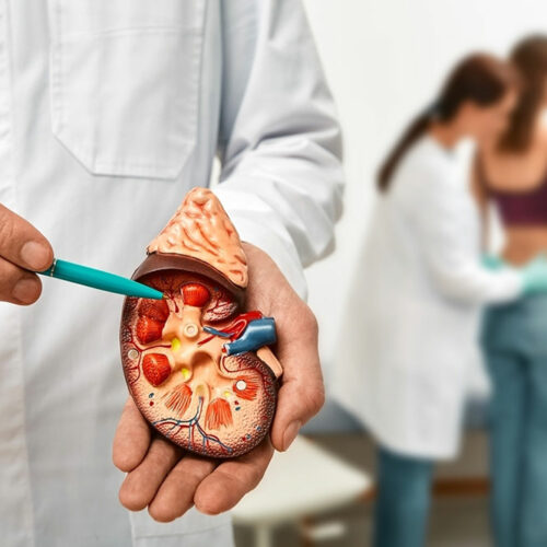 Understanding Kidney Transplant, its Types, and More