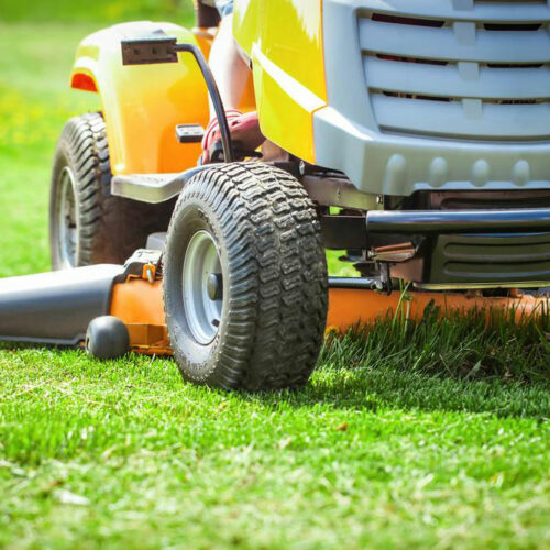 Methods to get rid of crabgrass