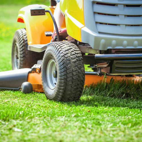 Choosing the right lawn mower