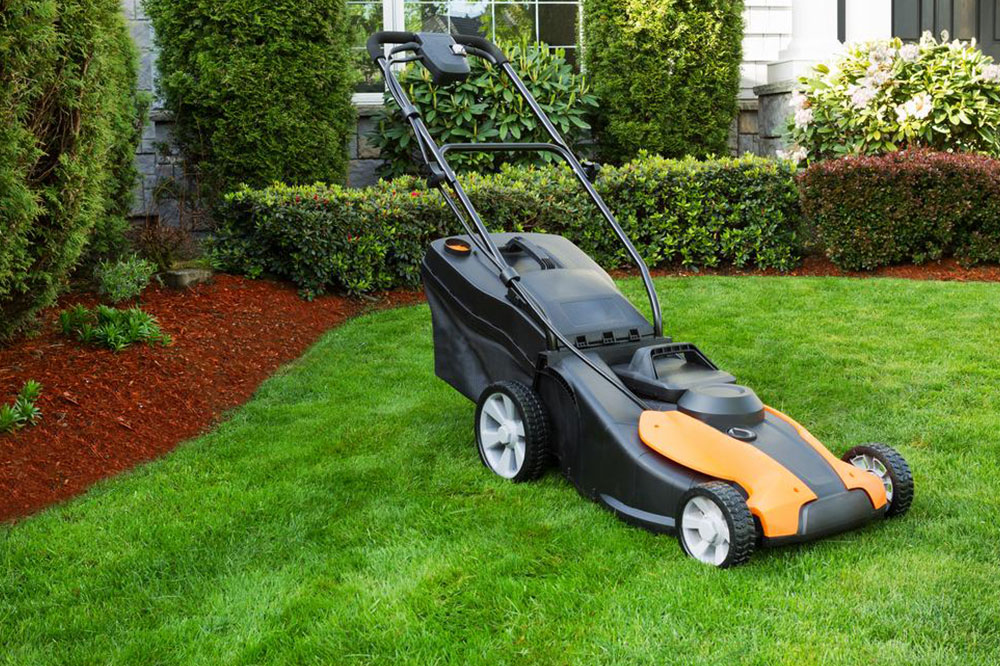 Everything you need to know about lawn care services