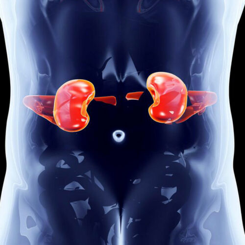 Effective measures to prevent kidney disorders