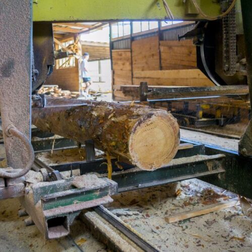 How to choose a portable sawmill?