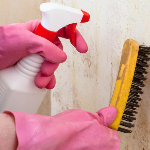 Simple cleaning remedies to ward off mold and mildew growth