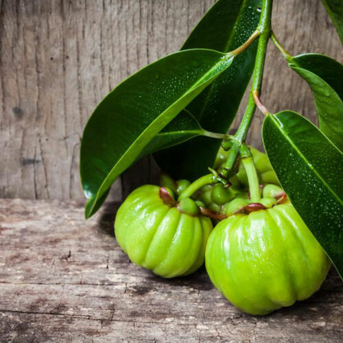 Things to know about Garcinia Cambogia