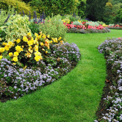 Tips for maintaining a neat and beautiful garden