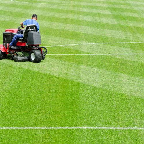 Tractor Vehicles For Lawn Care Management