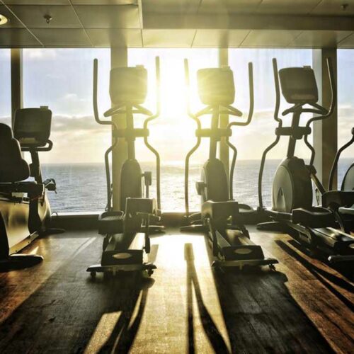 4 best elliptical machines in 2021