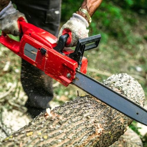 5 Best Chainsaw Brands You Should Buy