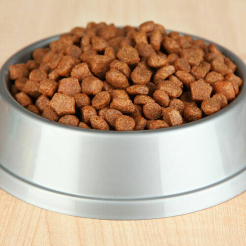 5 scrumptious weight-loss dog foods for your overweight canine