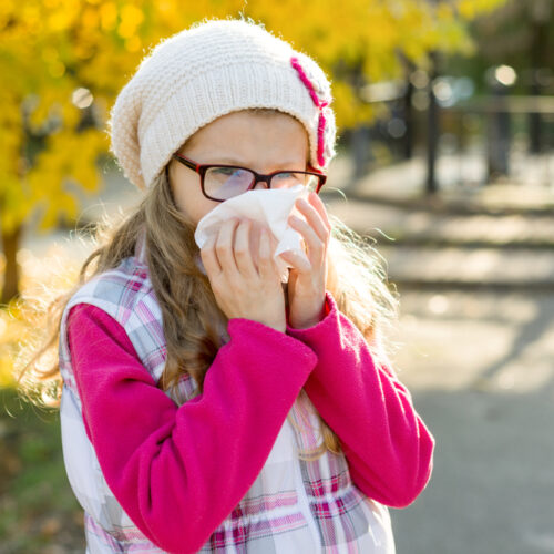 Overview Of Allergies- Causes And Treatment Options