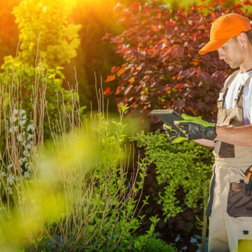 A Guide To Affordable Lawn Care Services