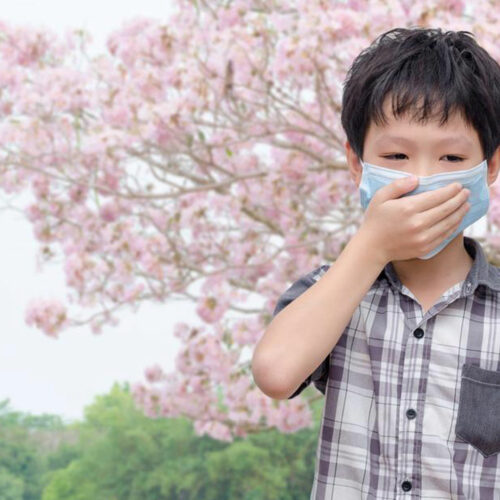 Common Signs of Pollen Allergy You Should Know