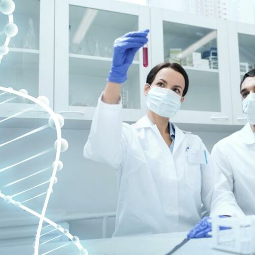 Guidelines To Find And Choose The Best Laboratory To Conduct Ancestry Dna Test