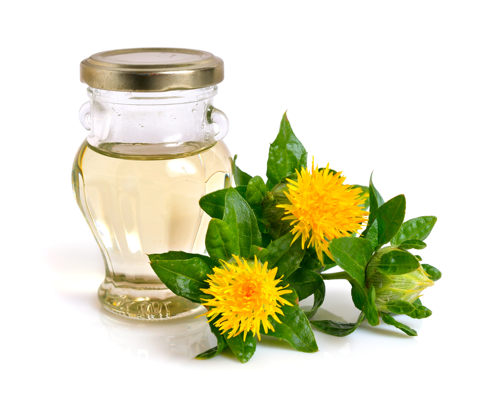 3 Significant Things You Must Know About Cla Safflower Oil