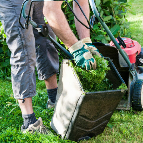 4 best lawn care software for your business