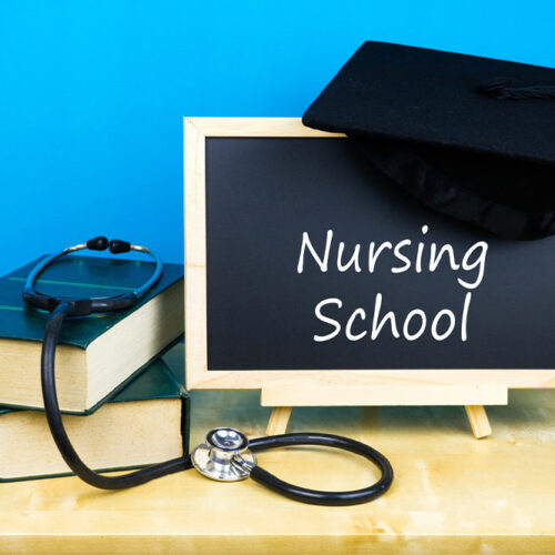 What are the typical admission requirements of a nursing school