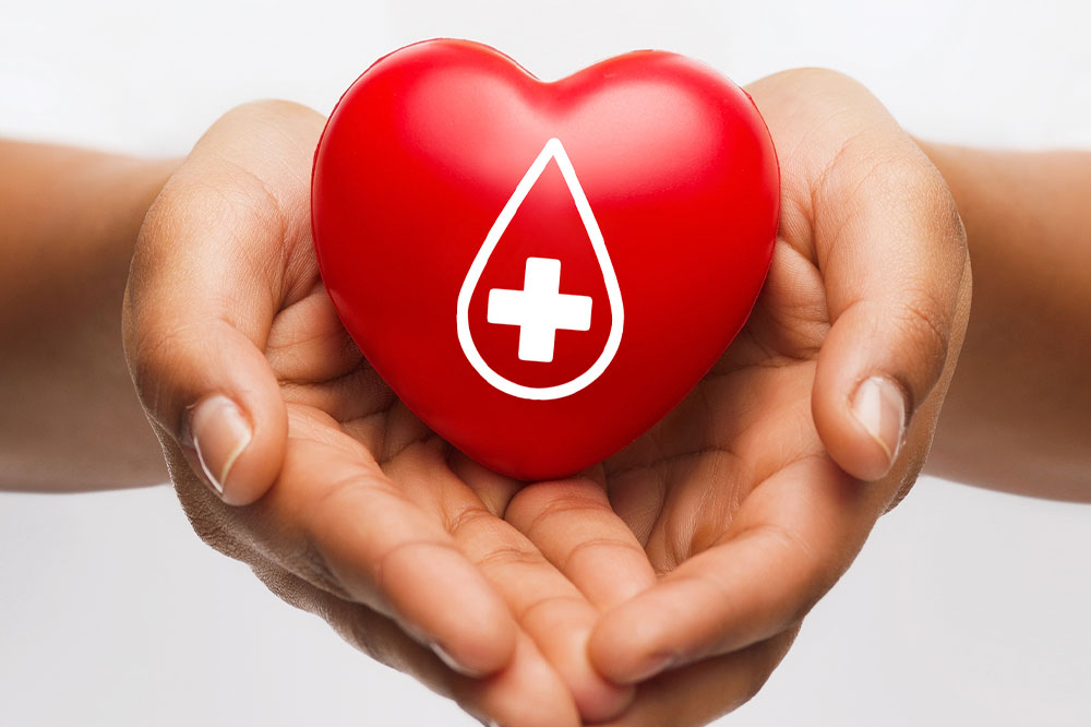 Important Things to Know About Plasma Donation